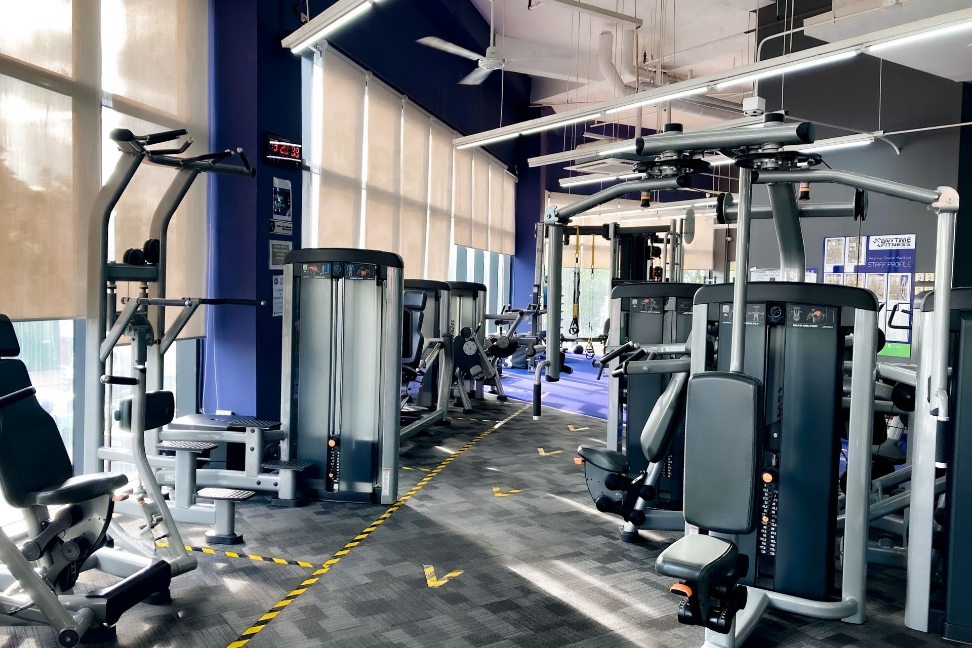 Gym & träning